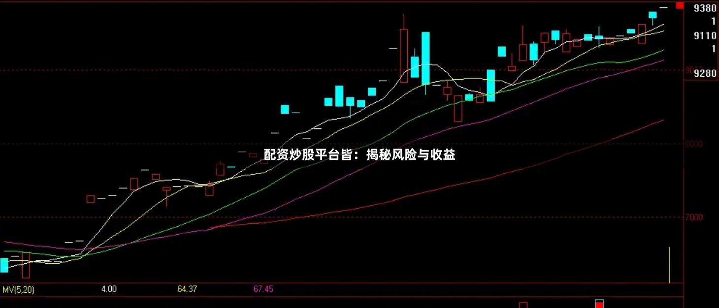 配资炒股平台皆：揭秘风险与收益