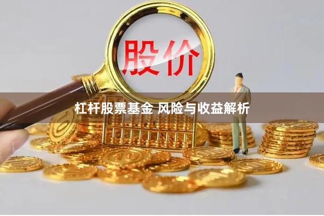 杠杆股票基金 风险与收益解析