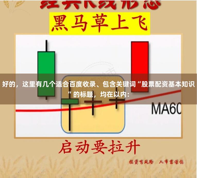 好的，这里有几个适合百度收录、包含关键词“股票配资基本知识”的标题，均在以内：